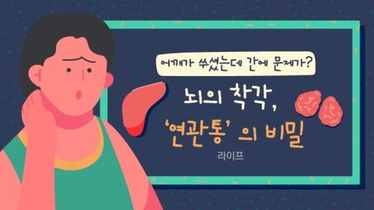 어깨가 쑤셨는데 간에 문제가… 뇌의 착각, ‘연관통’의 비밀-19-1.jpg